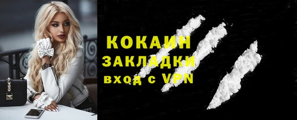 сатива Новосибирск