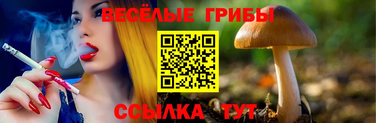 Псилоцибиновые грибы Cubensis Кизляр