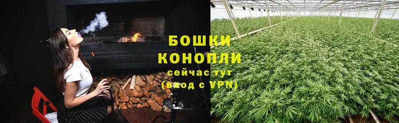 где купить наркоту  Кизляр  Бошки марихуана Amnesia 